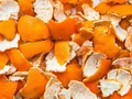 Me ha gustado un vídeo de YouTube ( - Si tiras las cáscaras de naranja, deja de hacerlo ahora).