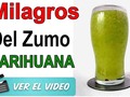 He añadido un vídeo a una lista de reproducción de YouTube ( - El Zumo De Hojas De Marihuana Espectacular