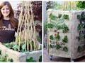DIY Grow Box (Vertical Gardening)