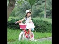 Royalbaby RB12G 1P Stargirl Girls Bike with Training Wheels and Basket, for Kids 12 Inc