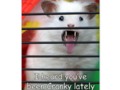 Cranky Critter Card by #gravityx9 #Zazzle -