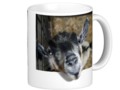 Nosy Goat Looking Out Classic White Coffee Mug by #PictureThisAndThat #Gravityx9 #zazzle -