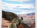 Squirrel Overlooking Grand Canyon Wall Tapestry at #Society6 by #gravityx9 -