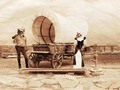 OLD WEST CATS SEPIA Greeting Cards,Prints & Home Decor at #Pixels #FineArtAmerica #Gravityx9 -
