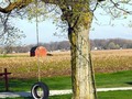 FRONT YARD TIRE SWING Greeting Cards, Prints and Home Decor at #Pixels #FineArtAmerica #Gravityx9 -