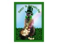 Send #stpatricksday greetings with this cute Lucky Meerkat Postcard by #gravityx9 #Zazzle -