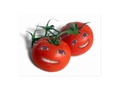 Send cheery greetings and makes someone smile with one of these Sweet Tomatoes Postcards by #Gravityx9 at Zazzle -