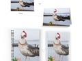 * "Christmas Seagull " Postcards, Christmas Cards and Notebooks by #Gravityx9 at…