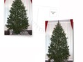 * Undecorated Christmas Tree Christmas Card by Gravityx9 at #Redbubble * Christmas Tree Lights * Christmas Decor *…