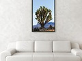 Joshua Tree Framed Print by Gravityx9 Designs - * * Joshua Tree Framed Print...