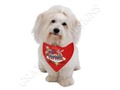 by #Gravityx9 at Artsadd * #dogscarf #PetWear #DogWear #petscarf...