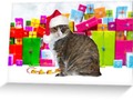 📷  * Sundae, The Christmas Cat Greeting Card * Buy any 3 and get 20%...