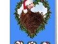 **'Christmas Chicken * Frizzle Chick' Greeting Card by Gravityx9 * A little Christmas chicken, a Frizzle Chicken, w…