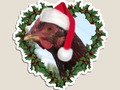 * Christmas Chicken * Rhode Island Red Holiday Die-Cut Magnet by Gravityx9 at Redbubble * A…