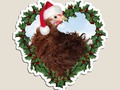 * NEW MAGNETS! * Christmas Chicken * Frizzle Chick Holiday Die-Cut Magnet by Gravityx9 at R…