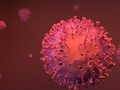 Corrupción y coronavirus