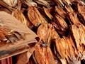 Con esto se hace el ARROZ de LISA en BARRANQUILLA (Tour Centro Histórico) / Iro Ramirez: a través de