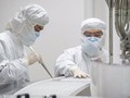 China detecta el primer caso mundial de gripe aviar H10N3 en humanos