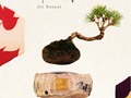 Los árboles bonsai que flotan son ahora una realidad. ~ JardSoda