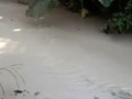 Denuncian contaminación de la Quebrada Menzulí, dónde han lanzado materiales producto de la construcción de una car…