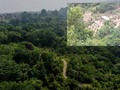 Denuncian invasión y falta de autoridad en los Cerros Orientales. Ver: veedor12…