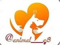 repost - animal___q8