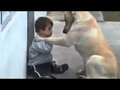 Perro Cuida al Niño - Impactante Video De Amor