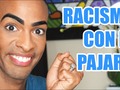 Me ha gustado un vídeo de YouTube de pollitotropical ( - DR.Tropical - Discrimination con El Pajaro).