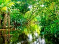 ● Cómo evitar un apocalipsis en la biosfera