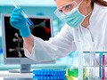 ● La ciencia pone la lupa sobre las células T. ¿Amigas o enemigas?