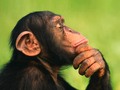 🌵 Las predicciones fallidas más desafortunadas de la historia... vÃa cinconoticias