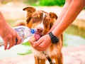 đ” 4 formas de usar la generosidad para reducir el estrĂ©s y ser mĂĄs feliz... vĂa cinconoticias