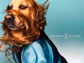 🌵 Maxdonna, la versión canina de Madonna... vía cinconoticias