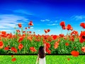 馃尩 El televisor HD m谩s grande del mundo...