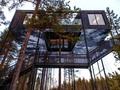 🌵 The seventh room, la impresionante casa en un árbol sobre un bosque sueco...