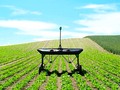 馃尩 EcoRobotix, el robot agr铆cola aut贸nomo y ecol贸gico...
