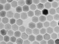 🌵 Las nanopartículas magnéticas del Dr. Zeng consiguen eliminar células cancerosas con calor...