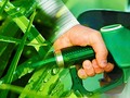 🌵 El combustible diésel ecológico a partir de algas está cerca de ser una realidad...