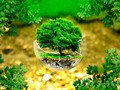 🍁 Puedes acabar con el cambio climático haciendo estos simples cambios en tu dieta...