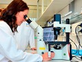 🍁 El calor, un nuevo método para combatir el cáncer...