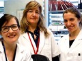 🌵 Descubren cómo frenar el desarrollo del cáncer de páncreas...