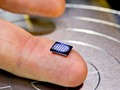 🐢 El ordenador más pequeño del mundo...