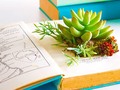 📺 Hora de reciclar: 10 cosas que tienes en casa y que puedes reutilizar...