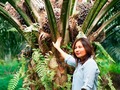馃敂 Los peque帽os agricultores se unen para el cultivo ecol贸gico de la palma...