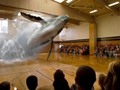 đ La espectacular realidad virtual de Magic Leap con tecnologĂa 7D serĂĄ el futuro del entretenimiento...
