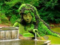 đź”” Plantas para jardines verticales: las mejores variedades para exterior e interior...