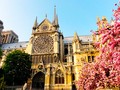 馃挘 9 datos curiosos y hechos hist贸ricos de la Catedral de Notre Dame...