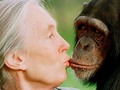 🌵 Jane Goodall a través del ingenio de Brett Morgen...