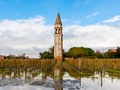 đ Mazzorbo: La isla italiana donde aĂșn se cosecha la uva dorada...