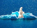 🎱 La fecha en la que el cambio climático será irrreversible está realmente cerca...